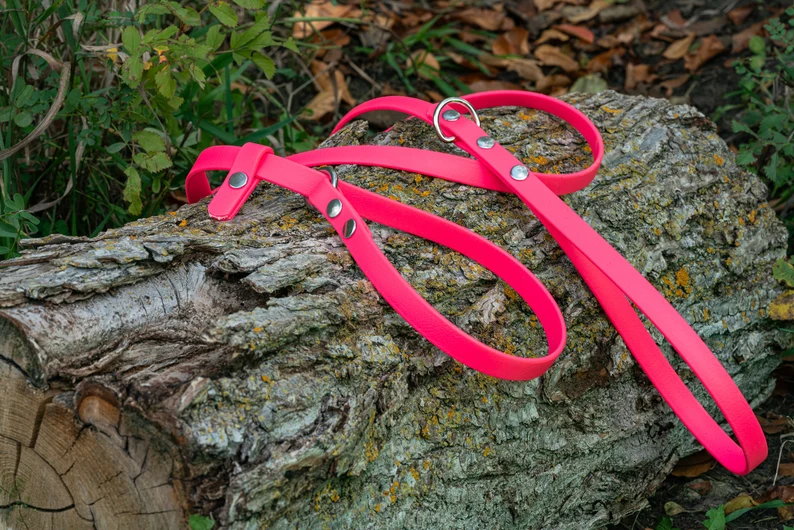 pink dog leash