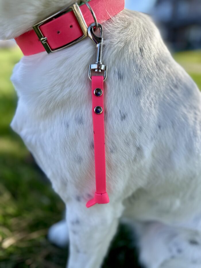 Tab Leash