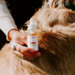 Pet CBD Oil - Image 3