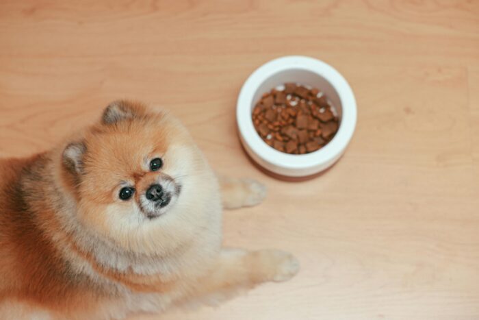 Complete Dog Food Ingredient List - Image 3